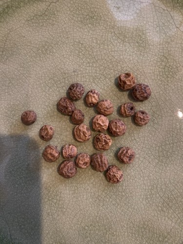 Tiger nut seeds - tiger,