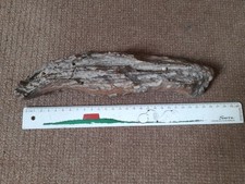 Piece of Petrified Fossil Wood