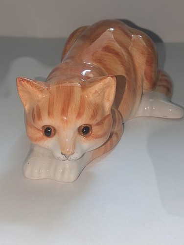 Just cats co staffordshire - just, &