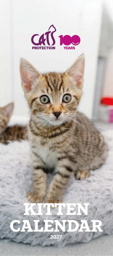Kittens calendar 2027 - 2027, cats