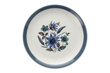 Myott - Country Side - Salad / Dessert Plate - 259836G