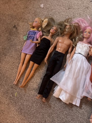 Barbie and ken - ken, bundle