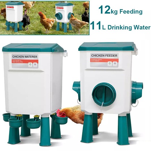 Chicken feeder bird waterer - feeder,