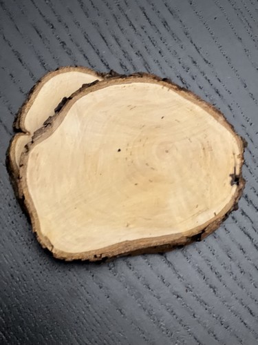 10pcs wood slices round - ,