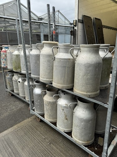 Milk churn french 25 litres - churn,