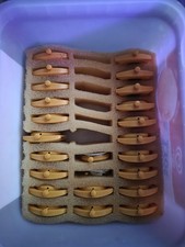 Lucerne Vintage Jump Hour