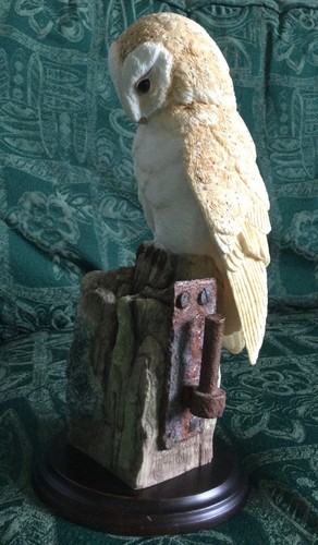 Beautiful barn owl - owl, fence