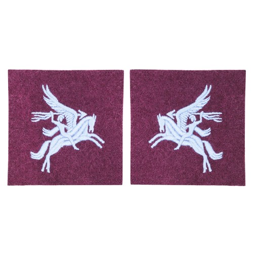 British airborne pegasus - british,