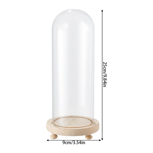 Clear glass dome with wooden - dome,