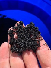 Black Aquarium Sand Substrate