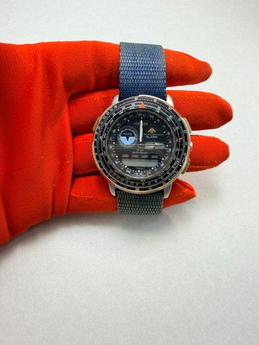 Rare 1989 citizen - rare, promaster