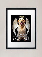 Angel dogs - Labrador