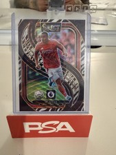 Select Murillo Zebra