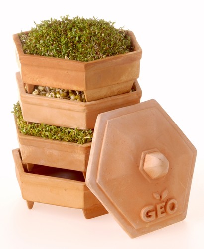 Geo terracotta sprouter - geo,