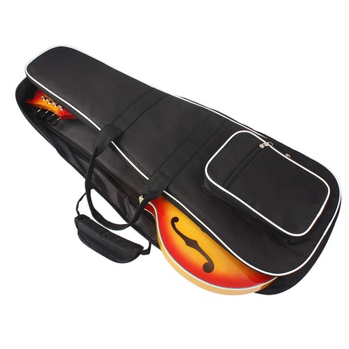 Portable mandolin case gig - mandolin,