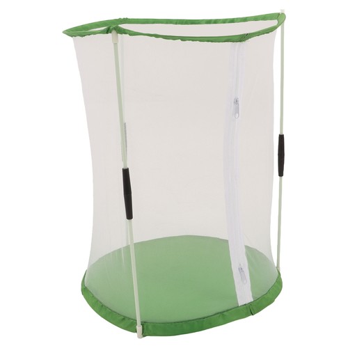 Hot cylindrical and insect - cylindrical,
