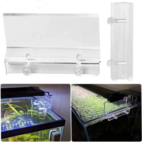 Aquarium clear fish tank - fish,