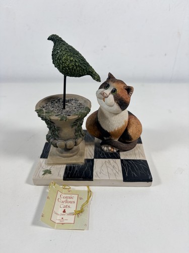 Comic curious cats a - &,