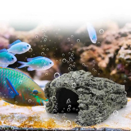 Aquarium fish hiding - hiding, cave