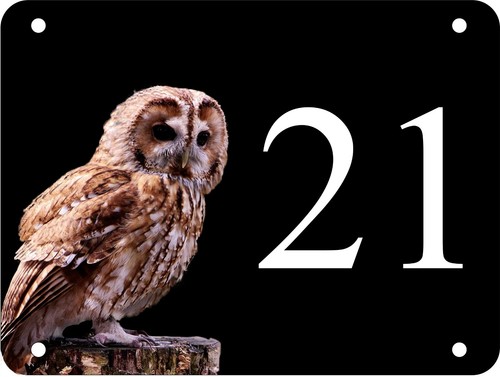 Personalised aluminium owl - aluminium,