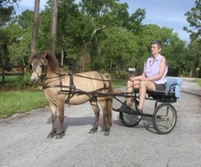 New Black Leather MINI Small