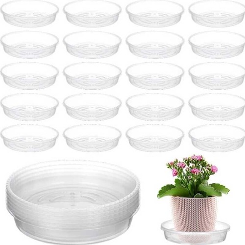 Clear round plastic plant - round,