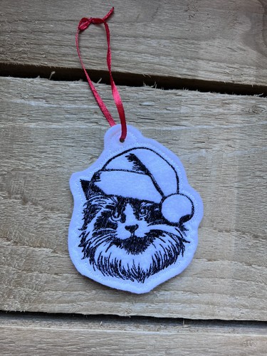 Ragdoll cat hanging - ragdoll,