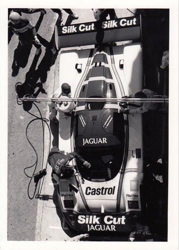 Silkcut jaguar xjr9 1987 - xjr9,