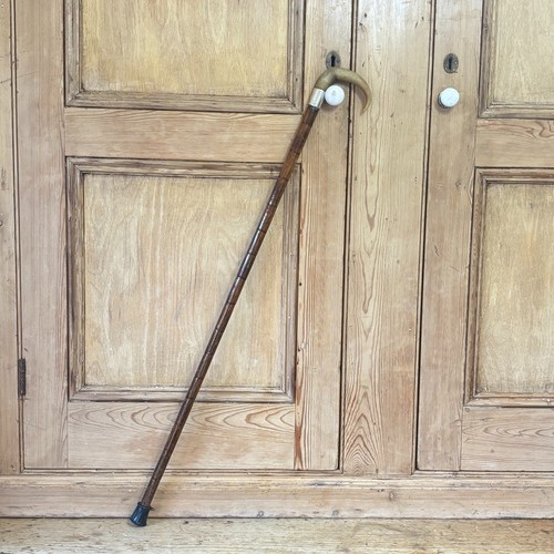 Antique walking stick - stick, cane