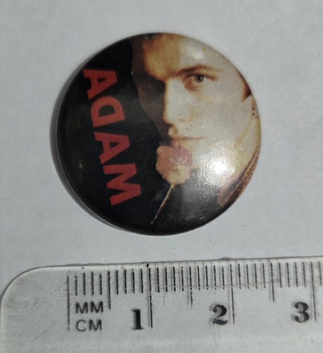 Adam the ants - the,