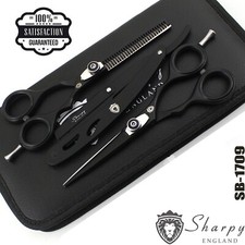Hair Cutting Thinning Scissors