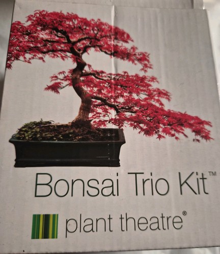 Bonsai trio kit plant - bonsai, theatre
