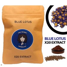 Nelumbo Nucifera - Blue Lotus