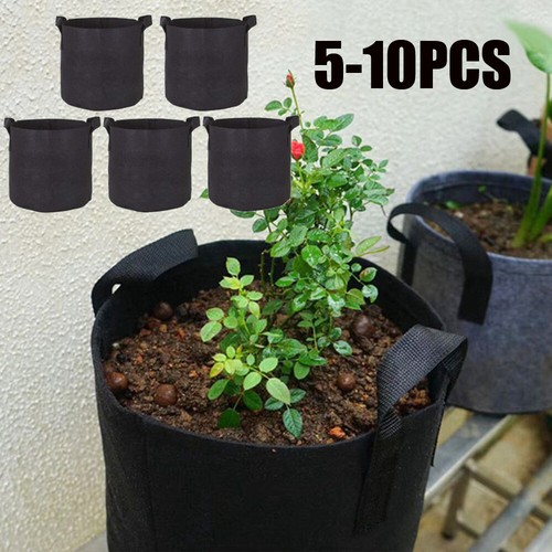 10x gallon plant grow - 5,