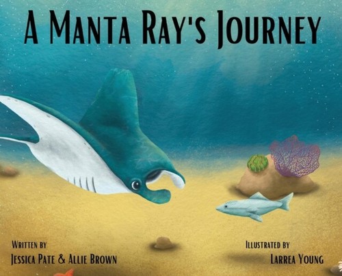 Pate manta ray - pate,