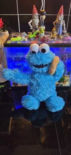 Sesame street nom - street, cookie
