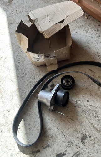 Ribbed belt tensioner - belt,