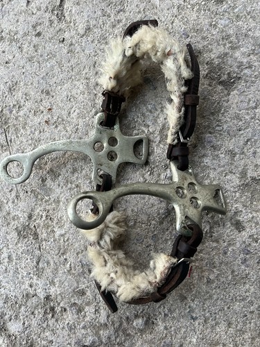 Hackamore bit