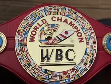 WBC world boxing champion