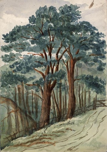 Trees rural scene antique - in,