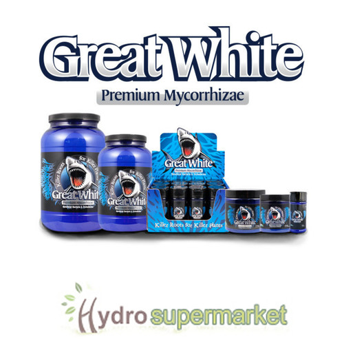 Plant success great white - great,