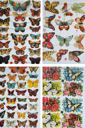 Butterfly vintage style paper - butterfly,