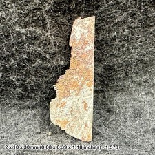 Muonionalusta meteorite slice