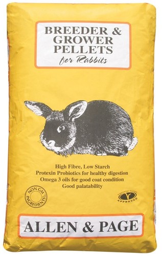Allen page rabbit breeder - allen,
