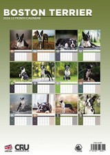 Boston Terrier Dog 2026 A3