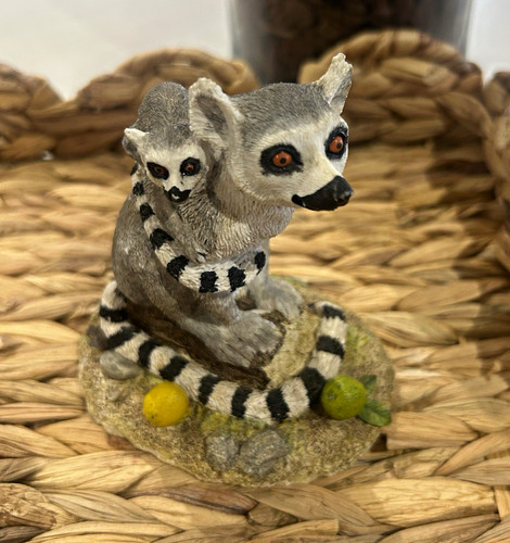 Enesco ring tailed - enesco, ring-tailed