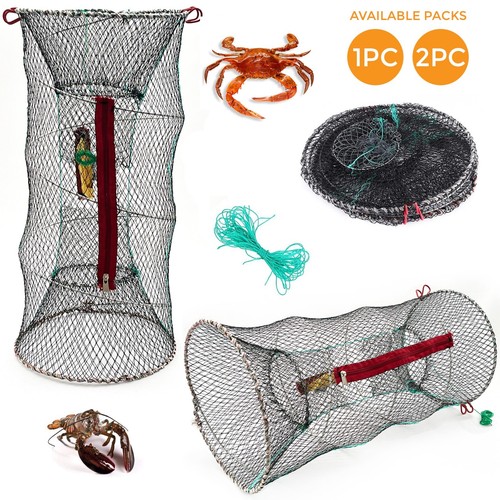 2pc giant lobster - giant,