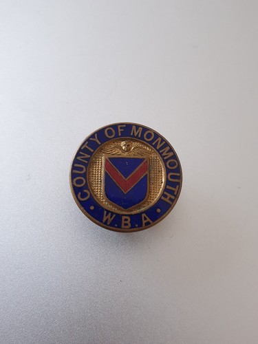 Vintage unknown enamel county - unknown,