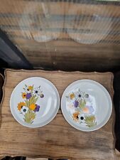 Royal tudor ware Springtime Dinner Plates X 2