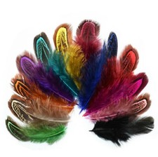 Colourful Guinea Fowl Wing Feathers Chicken Fly Craft Hat Arts Decorations UK